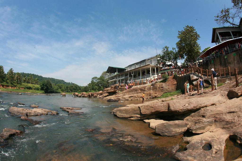 Hotel Pinnalanda - New Deal! Half Off Airport Pickups Available Pinnawala  Exterior photo